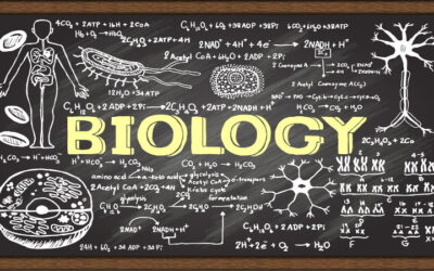 Biology – Class 12 – Maharashtra Board