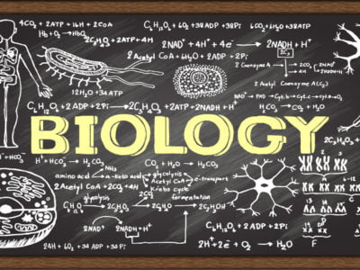 Biology – Class 12 – Maharashtra Board
