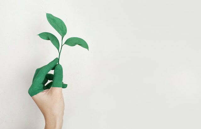 Eco-Friendly Living