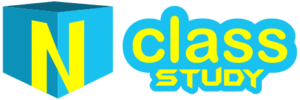 class n study logo 2024